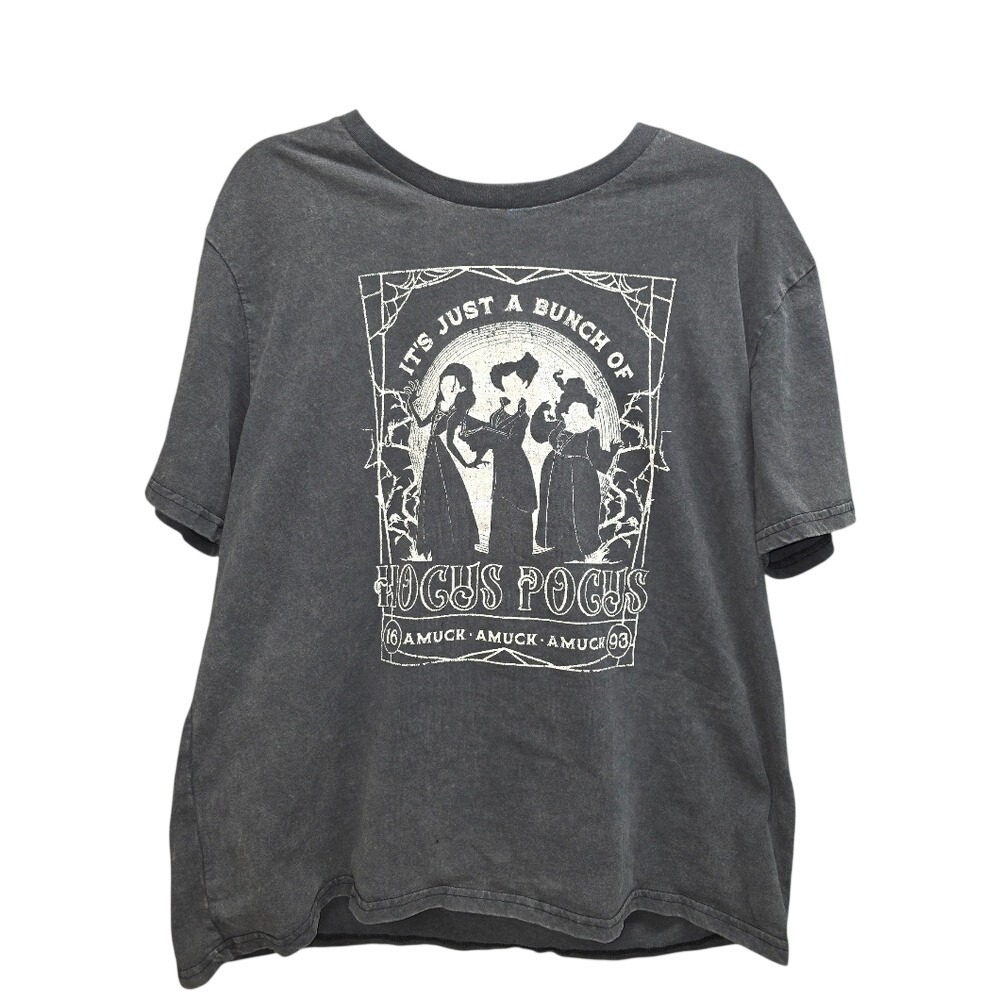Disney Hocus Pocus Sanderson Sisters T-Shirt 2X Charcoal Gray Amuck Amuck Amuck